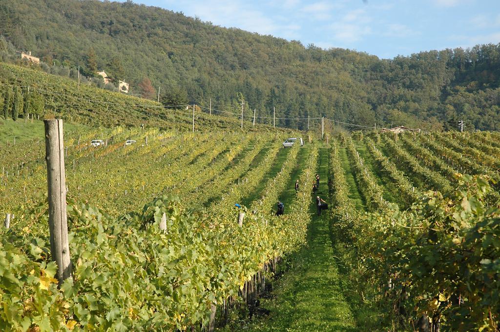 Fattoria Il Lago Dicomano Экстерьер фото